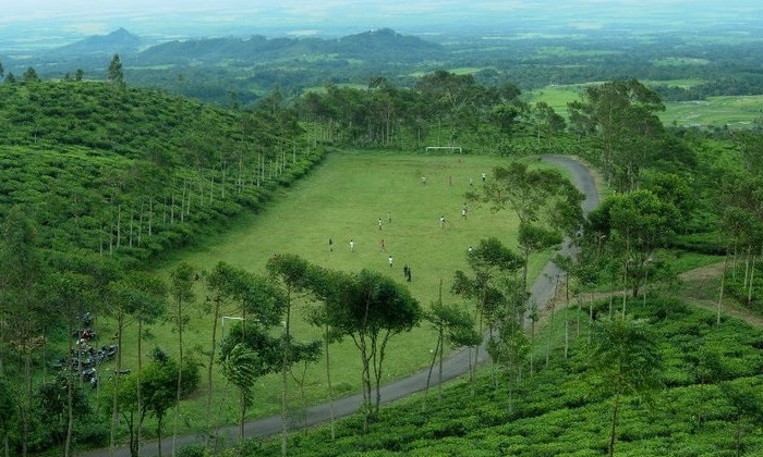 Pemandangan Alam di Ngawi (sumber:kampoengngawi.com)