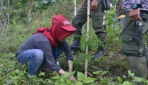 Mahasiswa KKN UGM Tanam 1.000 Pohon di Rinjani