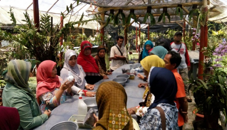 Indonesia Kaya Potensi Anggrek