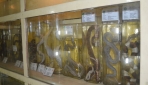 Awetan basah berbagai jenis ular yang dipamerkan di Museum Biologi UGM. Museum ini memiliki 4.000 koleksi awetan hewan dan tumbuhan di Indonesia. 