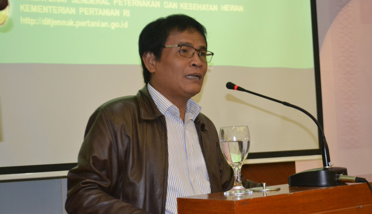 Pemerintah Dorong Ekspor Unggas ke Papua Nugini