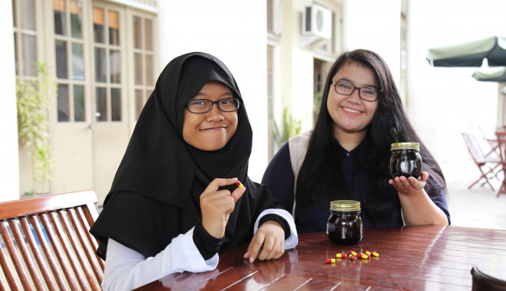 Obat Anti Inflamasi Daun Imer dan Meniran Inovasi Mahasiswa UGM
