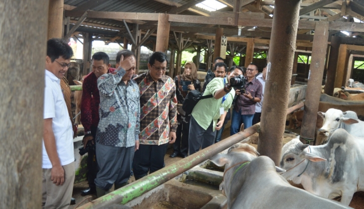 Indonesia Bisa Swasembada Daging Sapi dalam 10 Tahun Mendatang