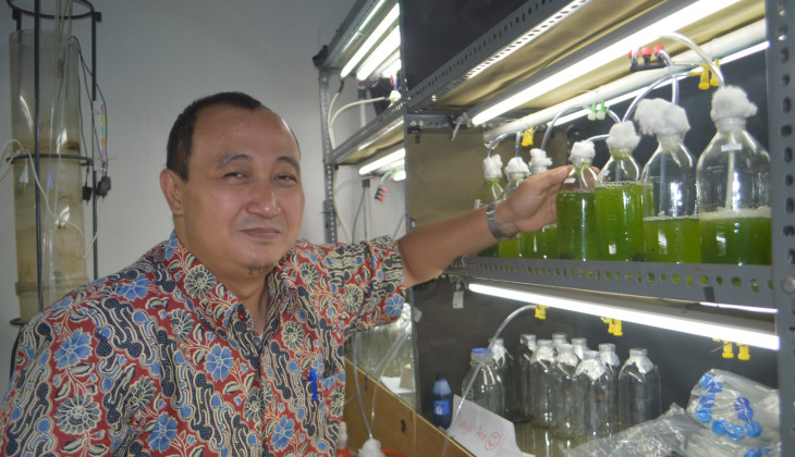 Peneliti UGM Mengembangkan Mikroalga Strain Lokal Sebagai Bioenergi