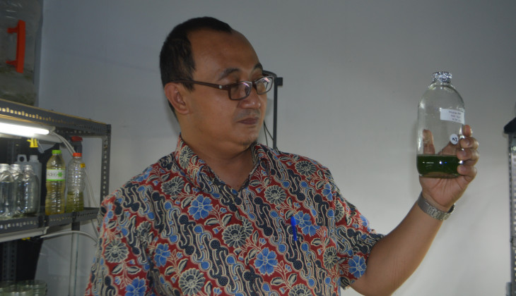 Peneliti UGM Kembangkan Mikroalga Strain Lokal Sebagai Bioenergi