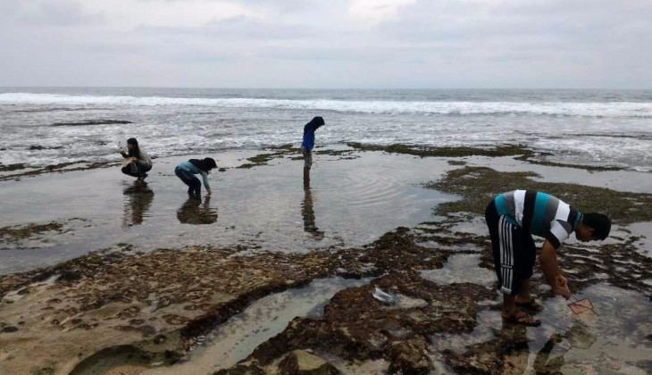 Fakultas Biologi Mengembangkan Pantai Porok Sebagai Pusat Penelitian Biomarine Universitas Gadjah Mada