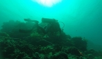 Mahasiswa Biologi UGM Ungkap Biodiversitas Laut Pulau Wangi-wangi