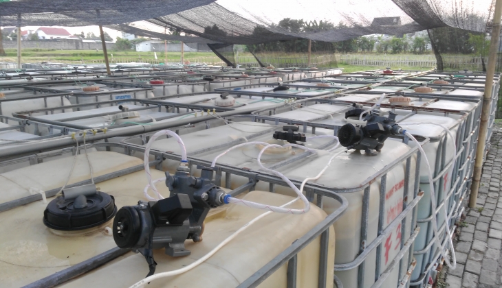 ALMINO, Teknologi Pemacu Produksi Mikroalga Sebagai Sumber Bioenergi