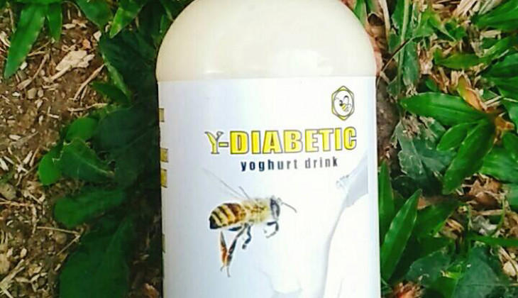 Mahasiswa UGM Manfaatkan Lebah Madu Hutan Untuk Obat Diabetes