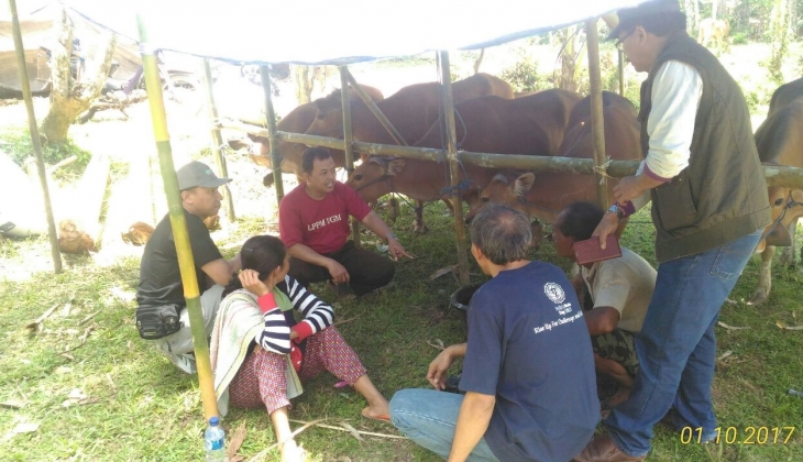 Fapet UGM Mendirikan Posko Penyelamatan Ternak Gunung Agung