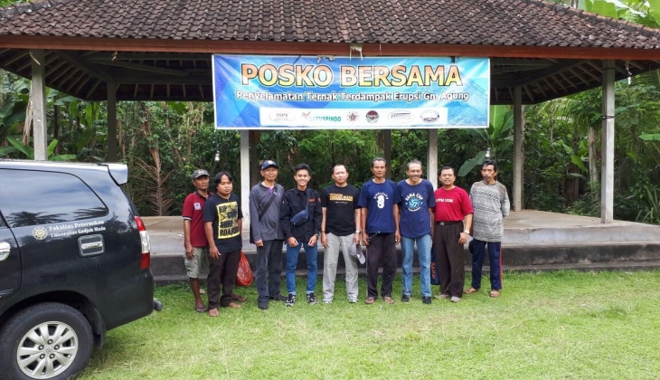 Fapet UGM Mendirikan Posko Penyelamatan Ternak Gunung Agung