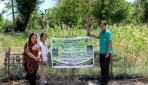    Fakultas Kehutanan UGM dan POLITANI Kerja Sama Pengembangan Agroforestri Cendana
