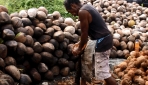 Masyarakat Maluku Tengah Apresiasi Program Pemberdayaan dari UGM