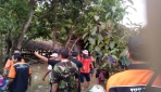  FAPET UGM Kirim Tim Penyelamatan Ternak di Gunungkidul