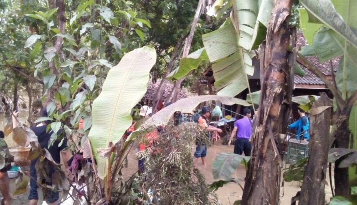  FAPET UGM Kirim Tim Penyelamatan Ternak di Gunungkidul