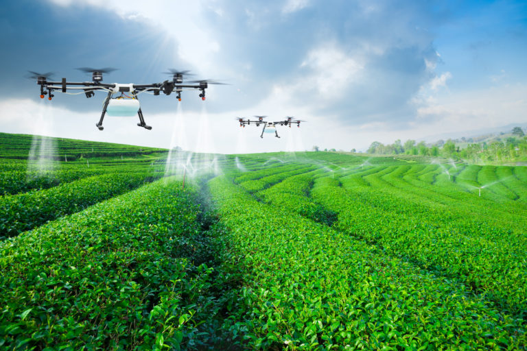 Pakar UGM Bahas Smart Farming, Salah Satu Bahasan di Debat ke-4 Cawapres - Universitas Gadjah Mada