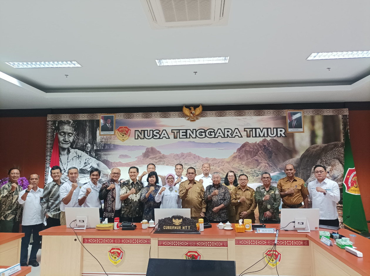 Geothermal development in East Nusa Tenggara