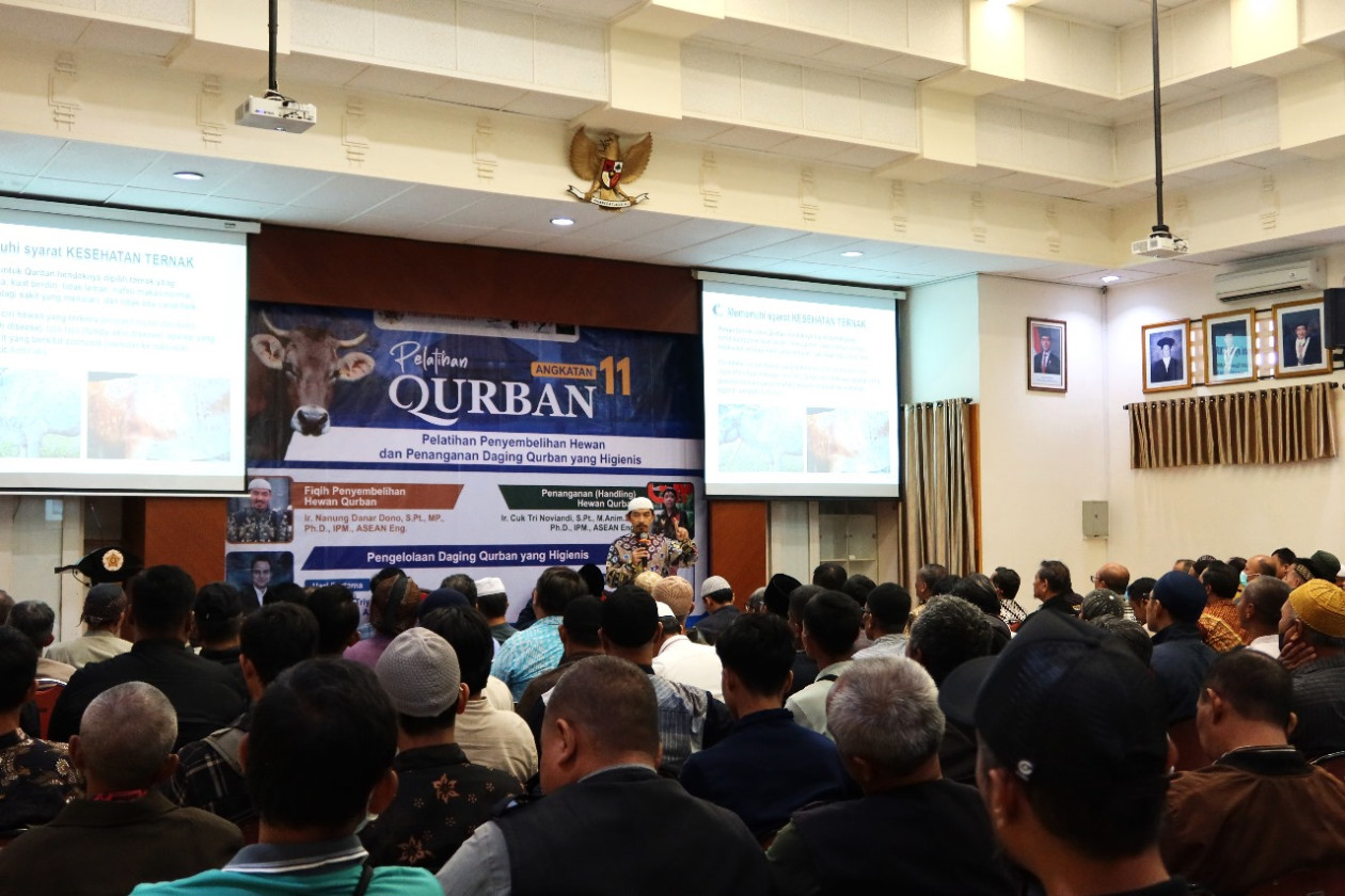 Qurbani Animals