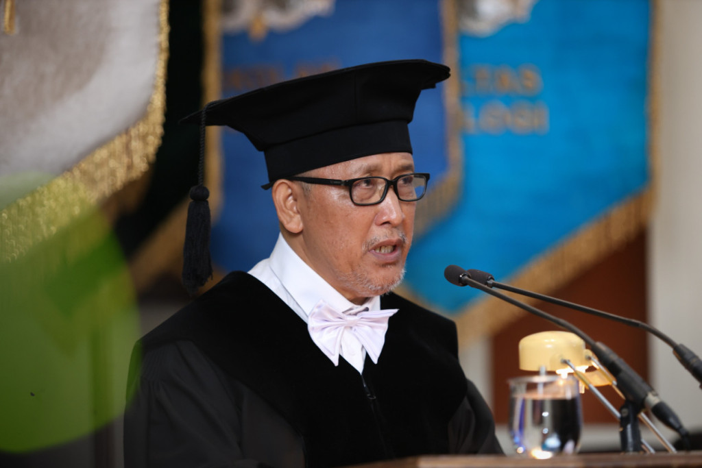 hybrid image professor