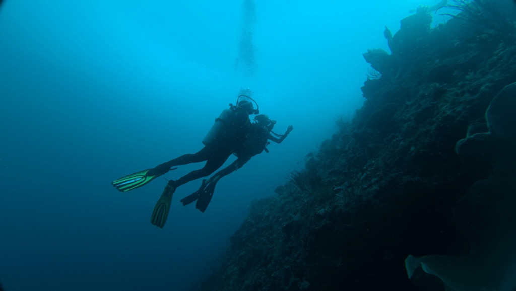 UGM teams held diving session