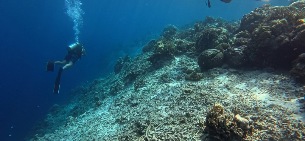 marine conservation by universitas gadjah mada