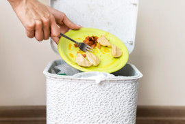 Food Waste Behavior
