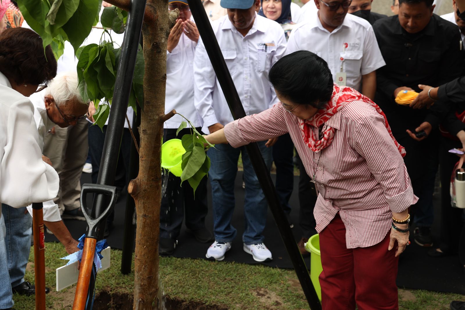 planted a Bodhi tree