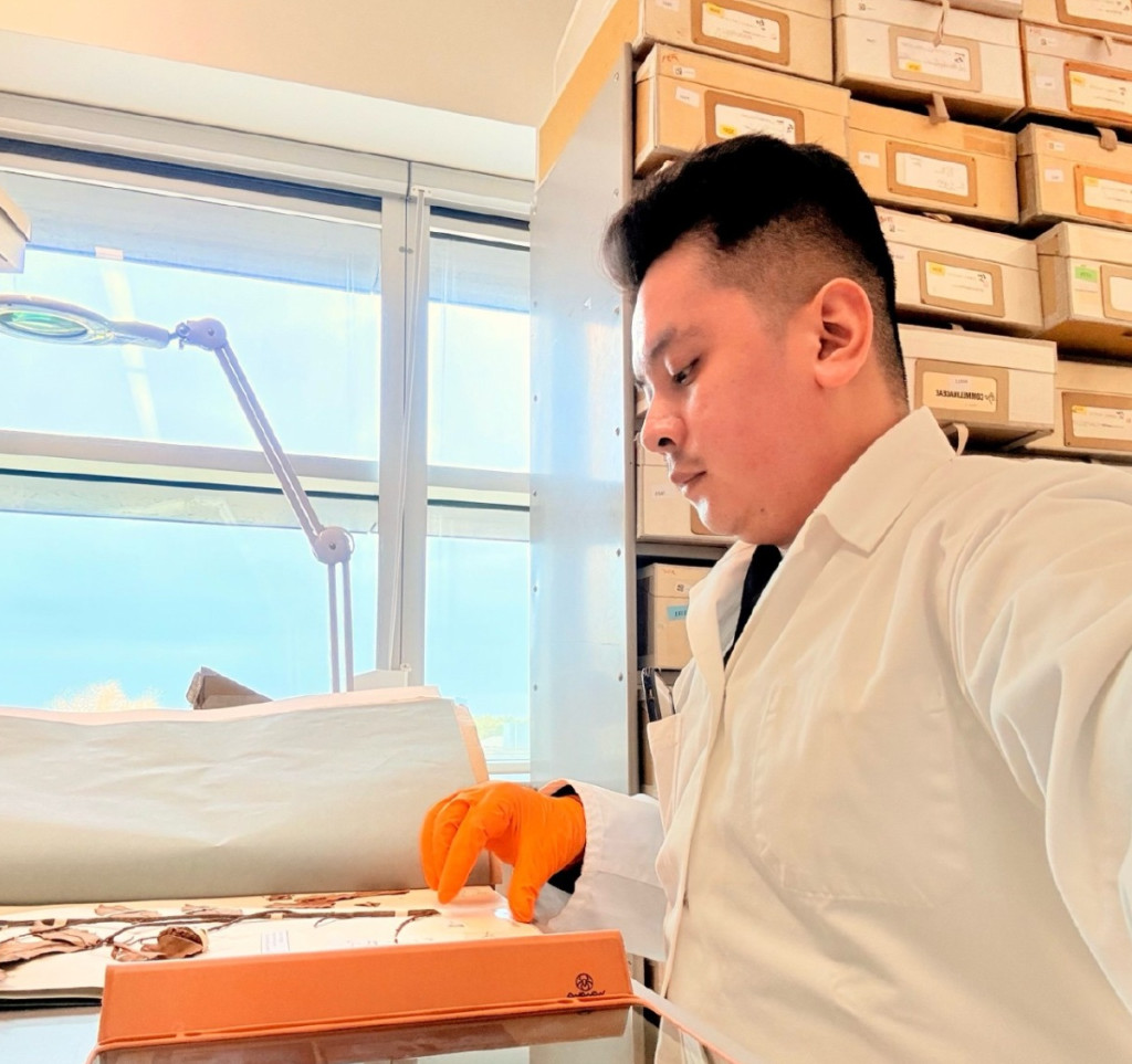UGM Biology student researches nutmeg plants at Leiden University’s Naturalis Center and Hortus Botanicus to enhance collaboration.