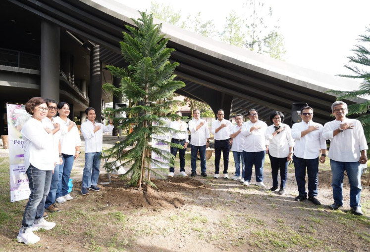 Planting Norfolk Pine at GIK UGM