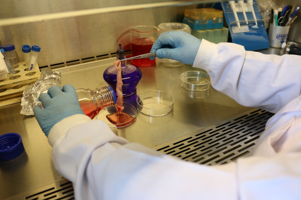 Only 5% of Indonesian universities are research-oriented. Experts urge stronger community engagement to ensure higher education delivers real impact.