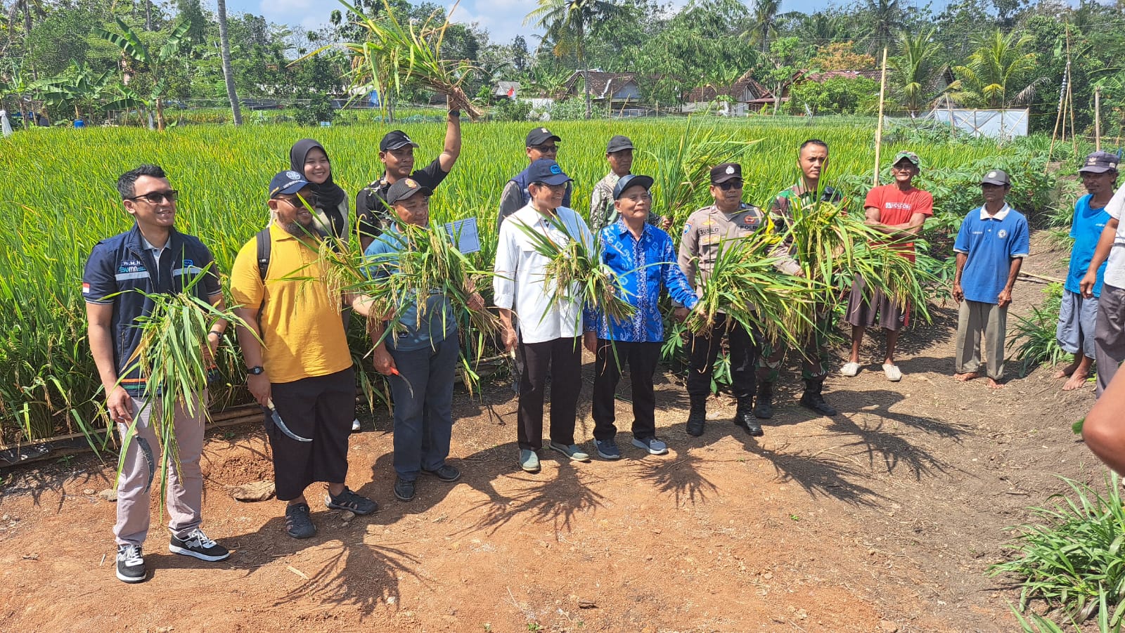 UGM researchers develop a geomembrane-based irrigation system to improve water efficiency and boost rice productivity in dryland areas such as Gunungkidul.