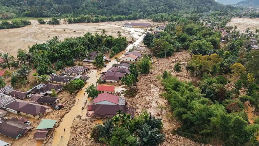 Antisipasi Bencana Banjir Bandang, Pakar UGM Desak Reforestasi ...