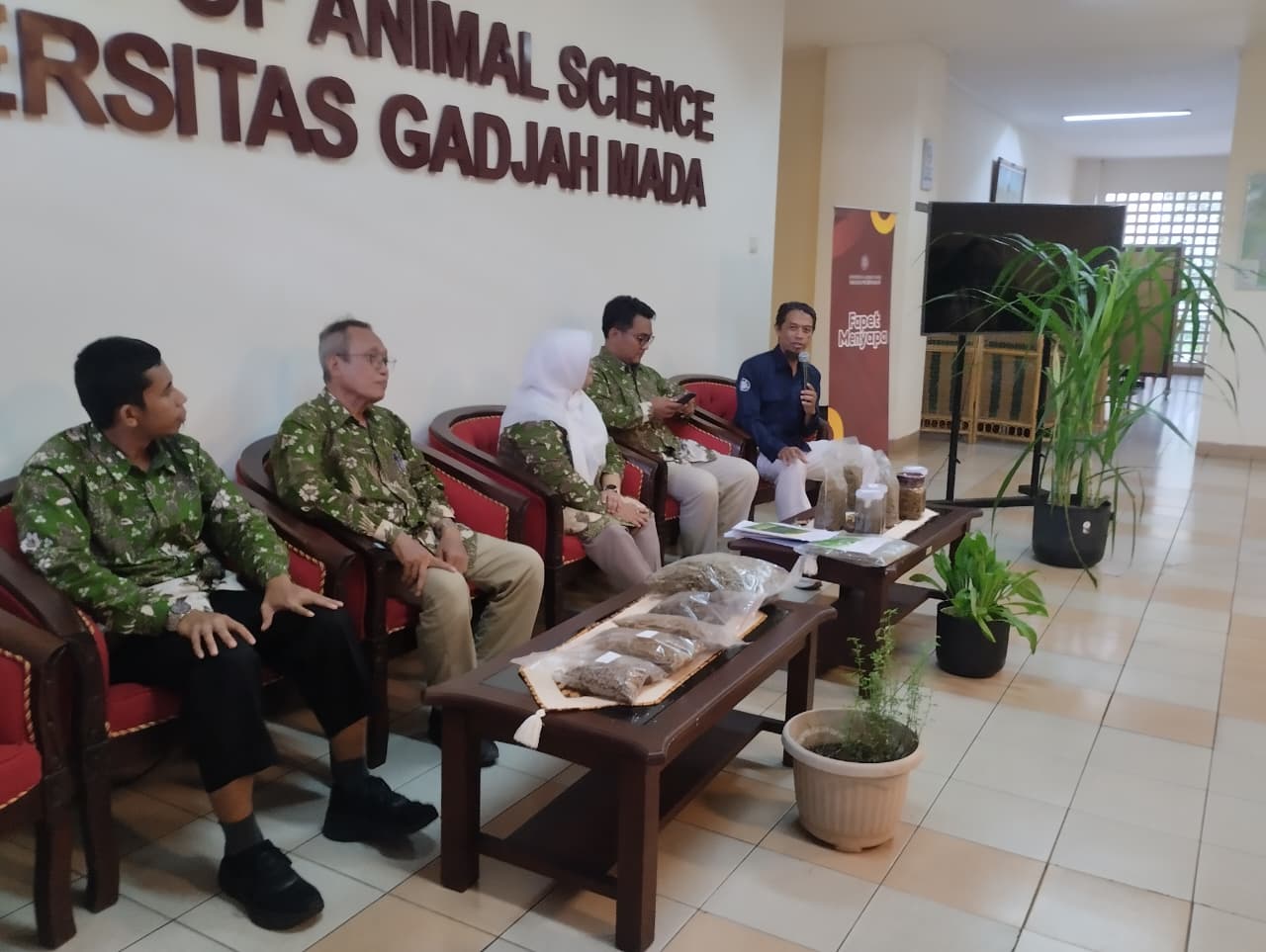 UGM researchers develop high-nutrient, affordable green fodder products to support livestock productivity through downstream research innovation.