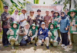 Cocoa seedlings planted in a 44-hectare development area