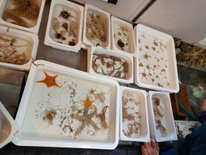 Research vessel navigating icy waters of East Antarctica during scientific expedition