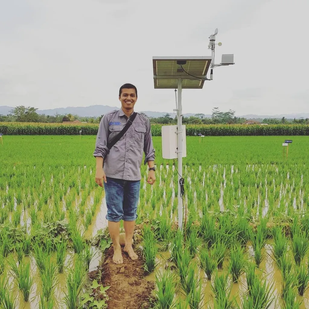 Godzilla El Nino Threatens Indonesian Agriculture, UGM Expert Outlines ...