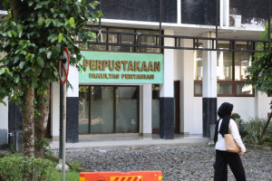 Activities of Agricultural Economics and Agribusiness students at UGM