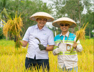 Harvest ceremony of Gamagora rice involving students and local community