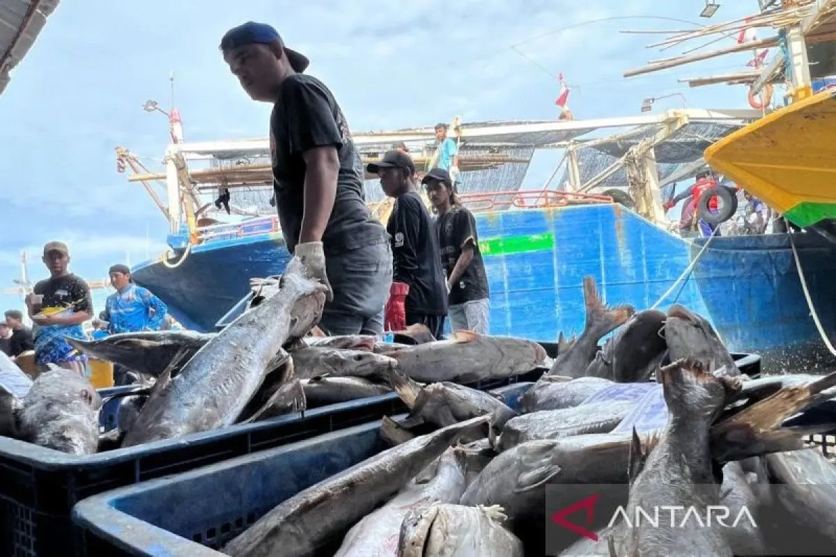 Pasca Ratifikasi ILO 188, Perlindungan Nelayan Hadapi Dampak Kenaikan Harga BBM