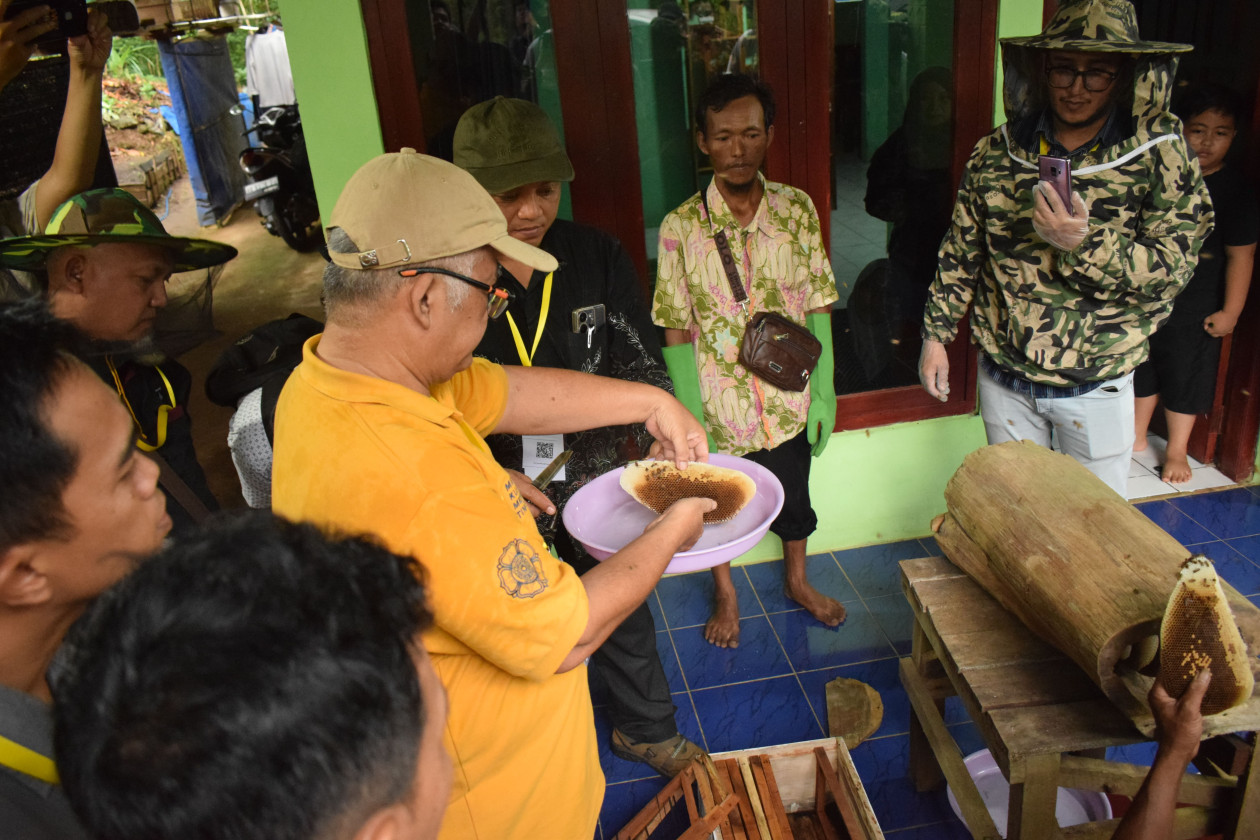 Madu Kian Diminati, Pelaku Usaha dan Konsumen Minim Literasi Identifikasi Madu Palsu