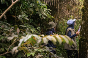 UGM Faculty of Agriculture students document biodiversity in the Mount Lawu forest ecosystem.