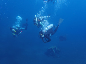 The community members are diving directly to the shipwreck in the waters off Tulamben.