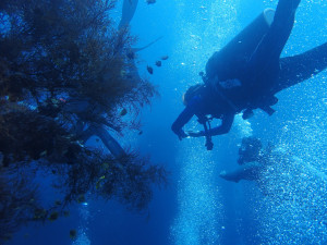 UGM students diving around the USAT Liberty shipwreck in Tulamben.