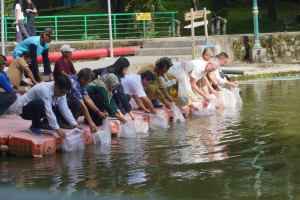 Fish stocking activity at Wisdom Park Lake involving UGM fisheries experts.