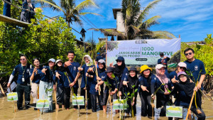 UGM students and volunteers planting mangrove seedlings along the Jangkaran coast in Kulon Progo.