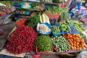 A market vendor arranges fresh agricultural products for sale, highlighting the food supply chain's vulnerability to increasing transportation expenses.