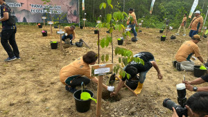 Tree-planting activity at Wanagama Nusantara to support biodiversity conservation and ecological restoration in IKN.