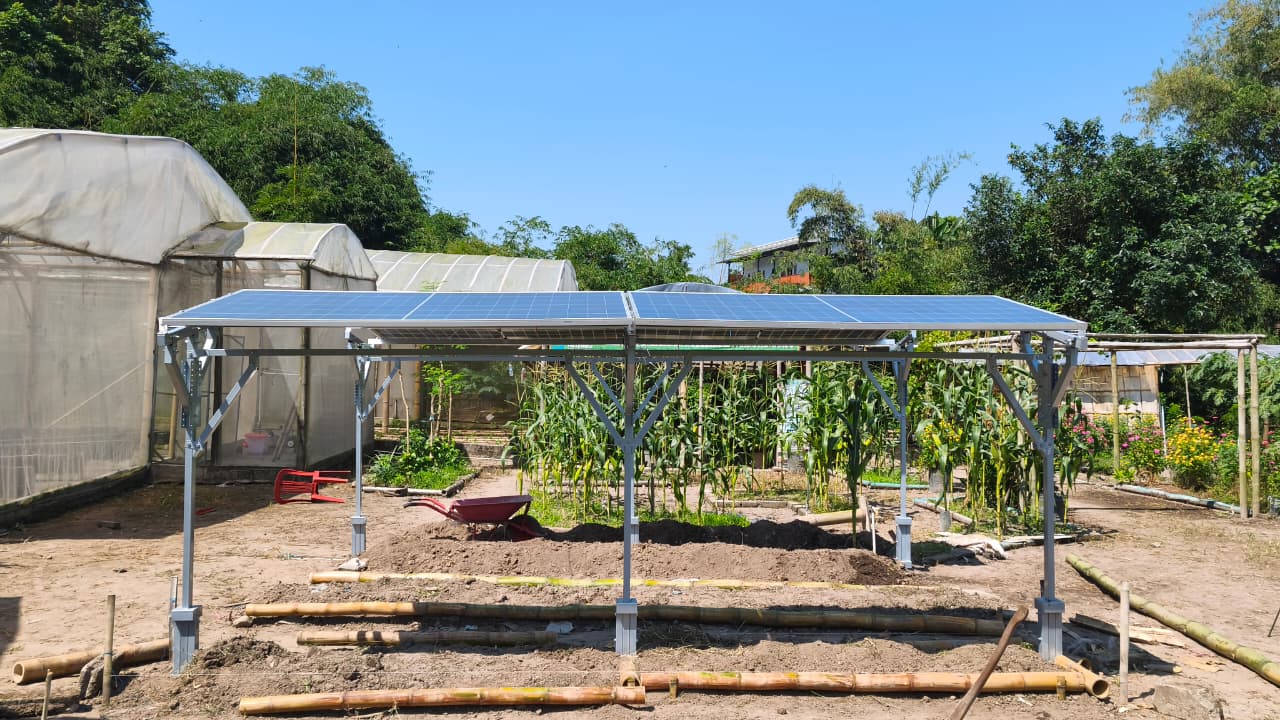 UGM Kenalkan Pertanian Cerdas Lewat Teknologi Agrivoltaic