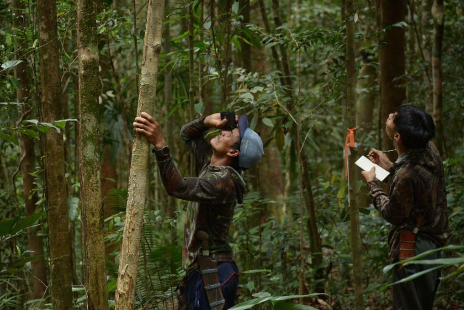 Hadapi Krisis Iklim, Masyarakat Adat Berperan Menjaga Biodiversitas