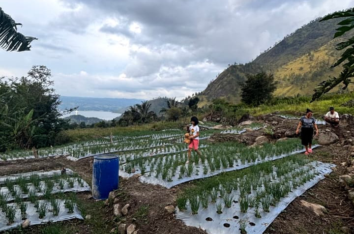 UGM KKN students demonstrate a sensor-based drip irrigation system designed to help farmers manage water more efficiently in Samosir, North Sumatra.